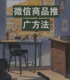 微商,进行推广引流