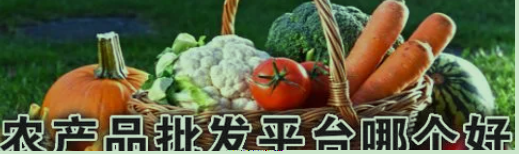 农产品,十大交易平台