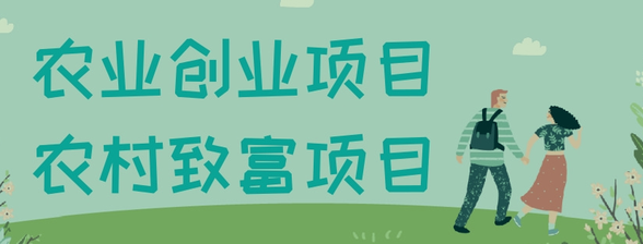 农村创业项目